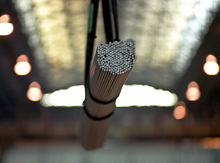 Zdjęcie gatunków stali